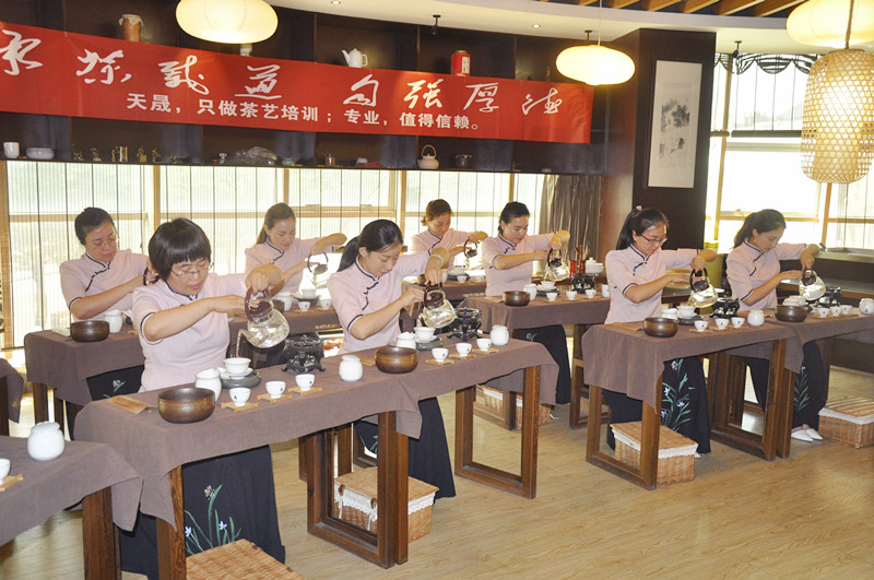 2025年7月茶艺师培训师培训(安溪)招生中
